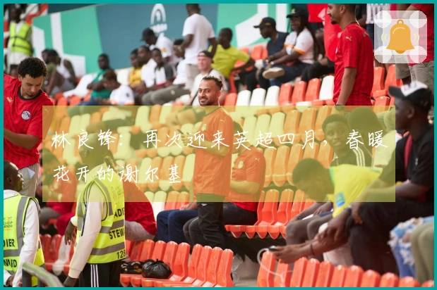 林良锋：再次迎来英超四月，春暖花开的谢尔基