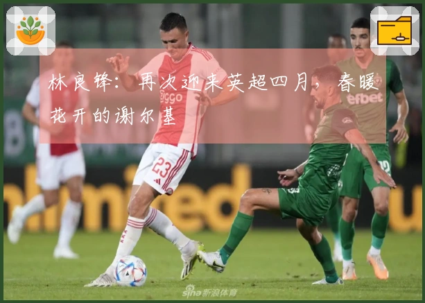 林良锋：再次迎来英超四月，春暖花开的谢尔基